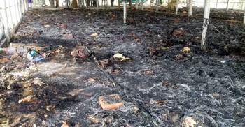 আগুনে পুড়লো ৭ হাজার মুরগি