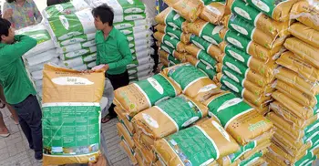 Govt increases rice import duty