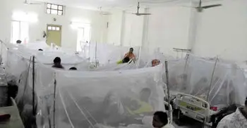 18 people died of dengue in Dhaka: DGHS
