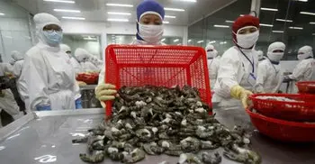 China replaces Saudi shrimp with Iranian shipments