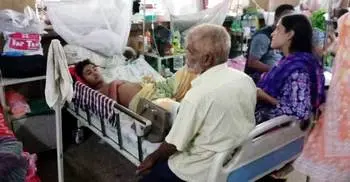 16 dengue patients admitted to Bogura hospital
