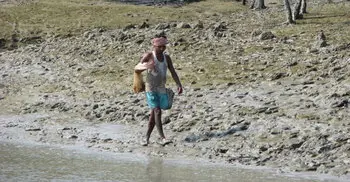 Fishermen decry Sundarbans fishing ban
