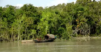 Red alert issued in Sundarbans ahead of Eid