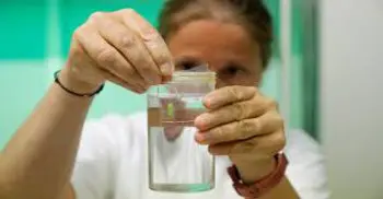 Scientists in Italy fertilize 7 northern white rhino eggs