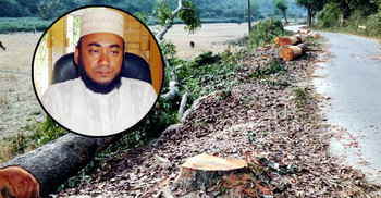 সরকারি গাছ কেটে ধরা খেলেন জামায়াত নেতা
