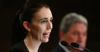 New Zealand’s cabinet backs action on gun laws