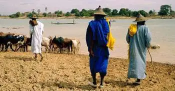 Militia attack on Mali village leaves 115 dead
