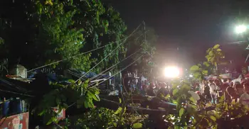 7 killed as nor’wester sweeps over country