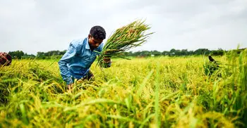 Bangladesh to be world’s 24th largest economy by 2033