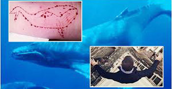 ব্লু হোয়েল : পেছনের ঘটনা কী?