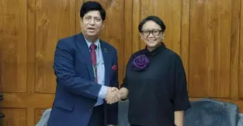 Jakarta to play effective role in resolving Rohingya crisis