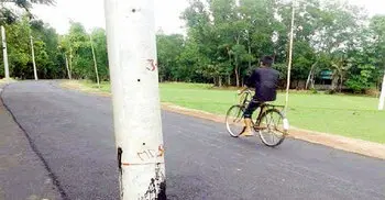 Remove electricity poles from roads: HC
