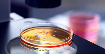 Is superbug a potential threat in Bangladesh?