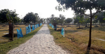 সেই আমবাগান এখন ইকোপার্ক