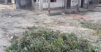 ঠাকুরগাঁওয়ে সরকারি গাছ কাটার ঘটনায় থানায় অভিযোগ