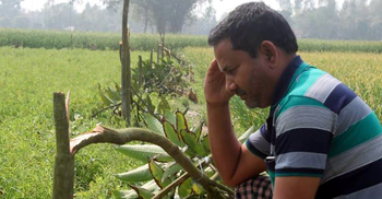 মানুষে মানুষে শত্রুতা, জীবন গেল শতাধিক গাছের