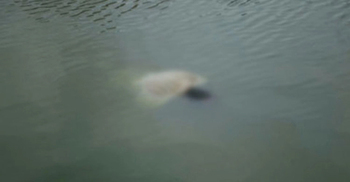 পুকুরে ডুবে প্রাণ গেলো একমাত্র ছেলের