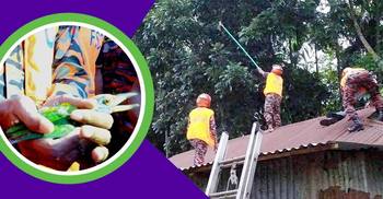 মাছরাঙার জীবন বাঁচাতে ছুটে এলো ফায়ার সার্ভিস