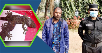 ১০ লাখ টাকায় তক্ষক বিক্রি, তবে