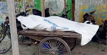 গরুবোঝাই পিকআপ-মোটরসাইকেল সংঘর্ষে যুবক নিহত