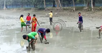 জল-কাদায় বিভোর শিশুরা