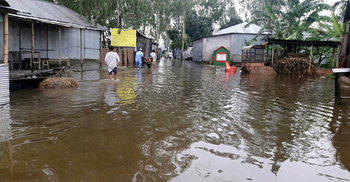 ফের বিপৎসীমার ওপরে তিস্তার পানি, ভাঙনে দিশেহারা মানুষ