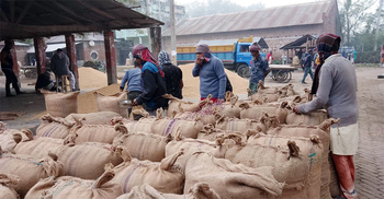 নওগাঁয় ধানের দাম বেড়েছে মণে ৮০ টাকা