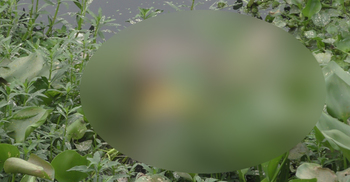 ঈদের আগের দিন নিখোঁজ শিশুর মরদেহ মিলল ভাসমান অবস্থায়