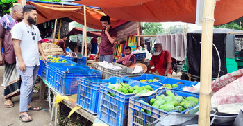 এখনো জমেনি রাজশাহীর বানেশ্বর আমের হাট