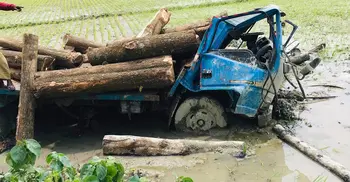 চাকা পাংচার হয়ে গাছের সঙ্গে ট্রাকের ধাক্কা, চালকের মৃত্যু