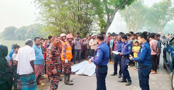 Ansar man among 2 killed in Meherpur road accident