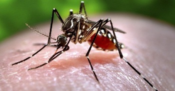 India state on alert after 14 Zika virus cases