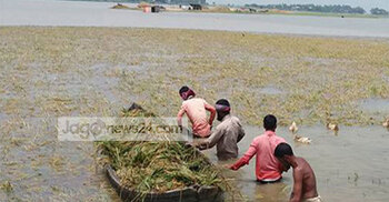 দফায় দফায় বন্যা : ঘুরে দাঁড়াতে পারছেন না কৃষকরা