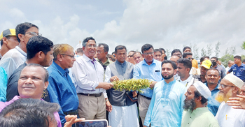 খাদ্যের পর এবার তেল উৎপাদনেও লক্ষ্যমাত্রা অর্জিত হবে: কৃষিমন্ত্রী