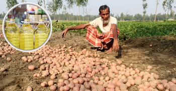 আধামণ আলুতে এক লিটার সয়াবিন তেল!