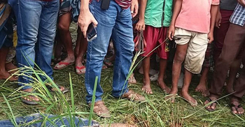 ধানক্ষেতে পড়েছিল তরুণীর লাশ
