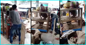 খাঁচায় ঢুকিয়ে দুই শিশুকে নির্যাতন : সেই আ.লীগ নেতার ভাই গ্রেফতার