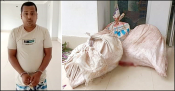 ব্রাহ্মণবাড়িয়ায় কোরবানির গরু চুরি করে জবাই, যুবক গ্রেফতার