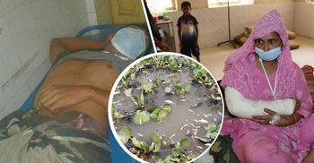 সন্ধ্যায় বাসায় হামলা, রাতে পুকুরে বিষ