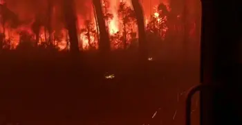 Australia fires: 7 dead and more than 200 homes destroyed
