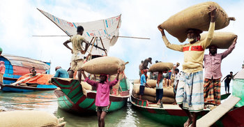 সংকটে চড়া ধানের বাজার