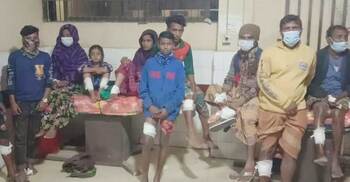 ব্রাহ্মণবাড়িয়ায় শিয়ালের কামড়ে আহত অর্ধশত