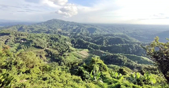 দেশের সর্বোচ্চ পর্বতশৃঙ্গ কোনটি