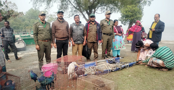 সুন্দরবনে কুমির-তক্ষক-পাখি অবমুক্ত