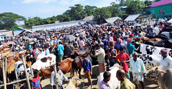 করোনাকালেও জমজমাট বাইশমৌজা পশুর হাট