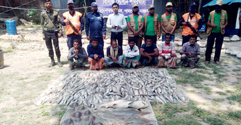 জেলের ট্রলারে মিললো ৪ মণ হাঙর ৩০ শাপলাপাতা