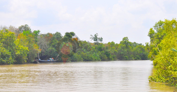 উন্মুক্ত হলো সুন্দরবন