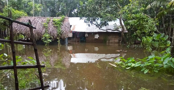 ভারি বর্ষণে বাগেরহাটে পানিবন্দি অর্ধলাখ পরিবার