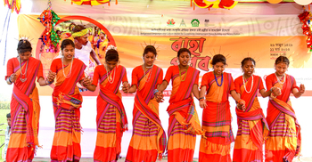 বাহা উৎসবে মাতলো গোবিন্দগঞ্জের সাঁওতালপল্লী