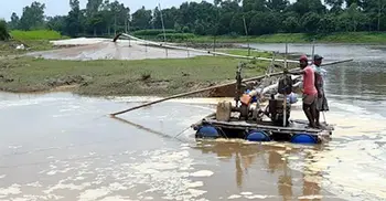 বালু উত্তোলনে হুমকির মুখে ফসলি জমি ও বাঁধ
